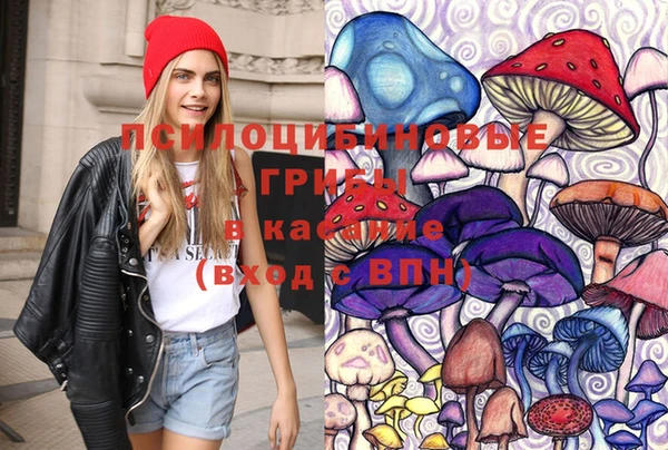 jwh Вязьма