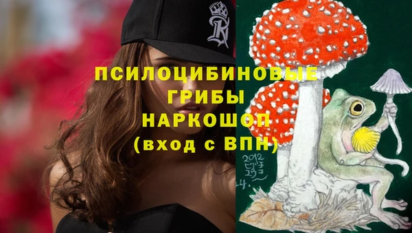 марки nbome Вяземский