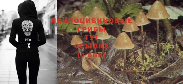 марки nbome Вяземский