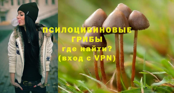 прущие крисы Вязники