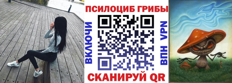 Купить  Нея  Галлюциногенные грибы GOLDEN TEACHER 